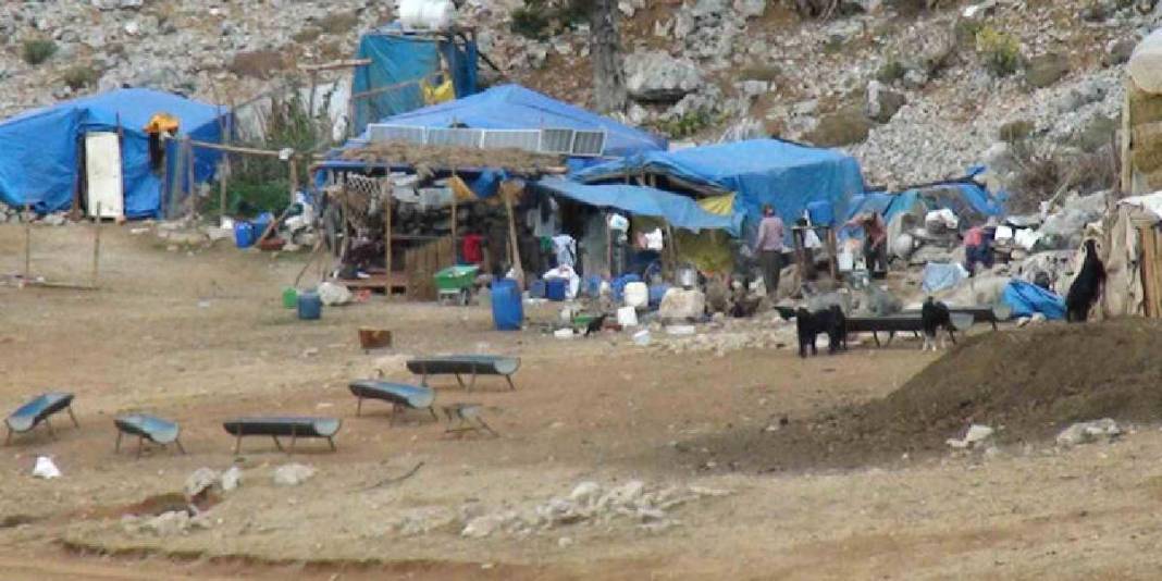 Mayıs ayında sürüyle çıktılar, şimdi rotalarını ters yöne çevirdiler! Yörüklerin dönüş hikayesi başladı: Kış resmen geldi 6